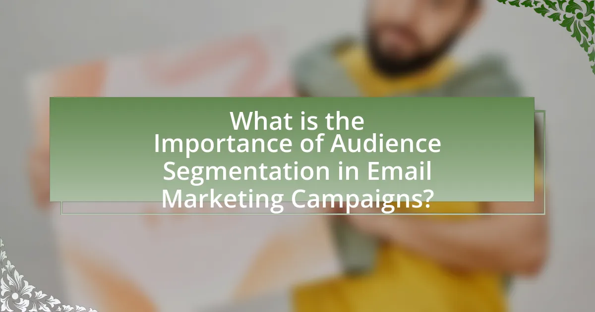 What is the Importance of Audience Segmentation in Email Marketing Campaigns?